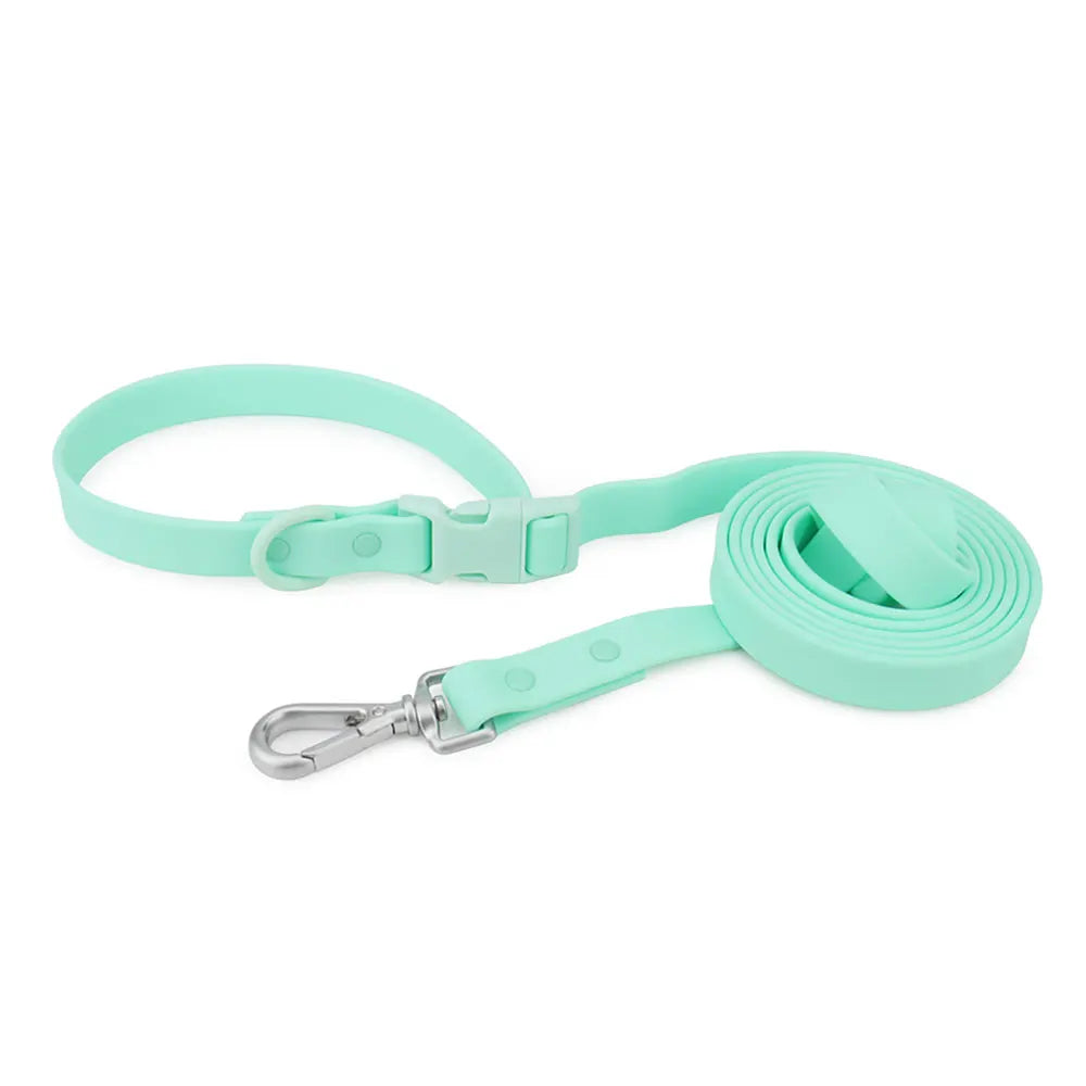 2-in-1 PVC Hundeleine mit Halsband –  Multifunktionsleine für Spaziergänge & Training