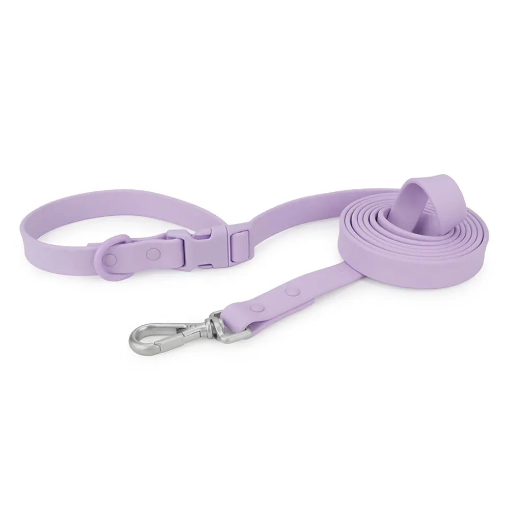 2-in-1 PVC Hundeleine mit Halsband –  Multifunktionsleine für Spaziergänge & Training