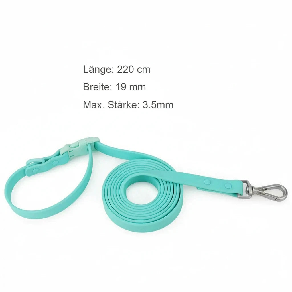 2-in-1 PVC Hundeleine mit Halsband –  Multifunktionsleine für Spaziergänge & Training