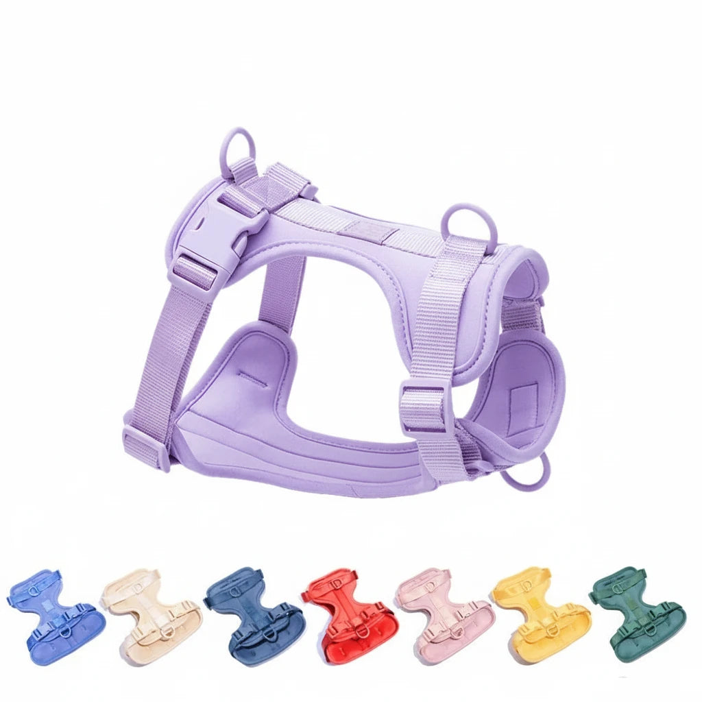 Hundegeschirr aus Nylon & Taucherstoff – Bequem & Strapazierfähig, Für Alle Größen (XS-XL)